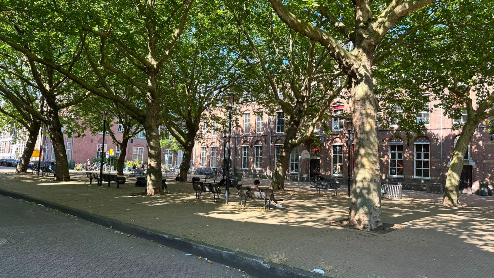 Users bus or not: Oosterparkbuurt has actually been experiencing nuisance from drug users for years