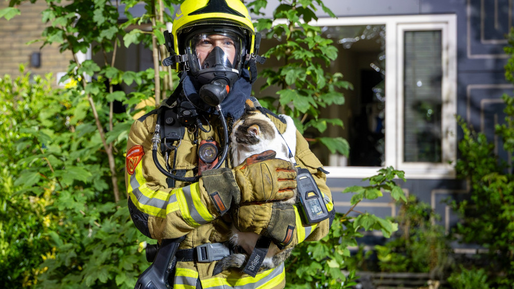 Neighbor proves worth her weight in gold: house fire nipped in the bud and cat saved from home