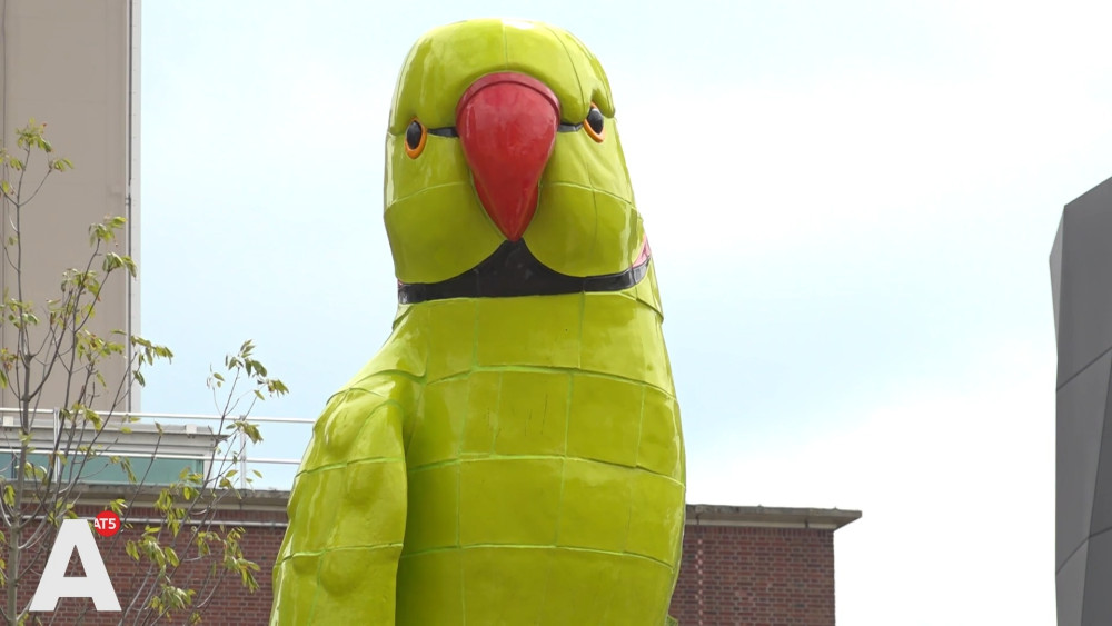 Giant parakeet overlooks Overhoeks: "Ode to all odd birds"