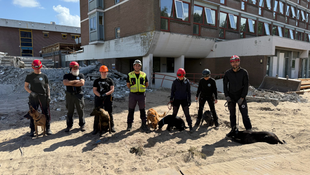 Reddingshonden trainen in oud Naarderheem: "Één blaf kan het verschil betekenen" Home