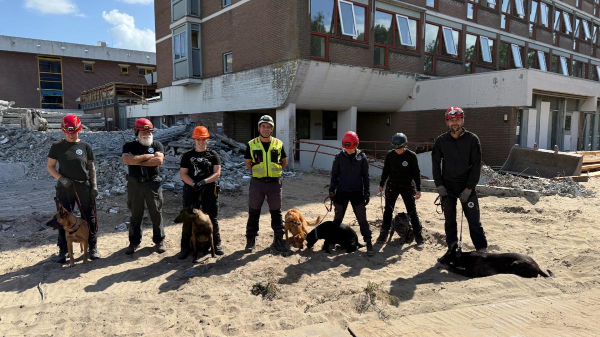 Hier in Naarden worden honden getraind om levens te redden
