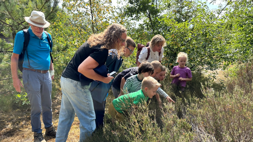 Op excursie in eigen land: kinderen speuren naar grootste hagedissen van Nederland Home