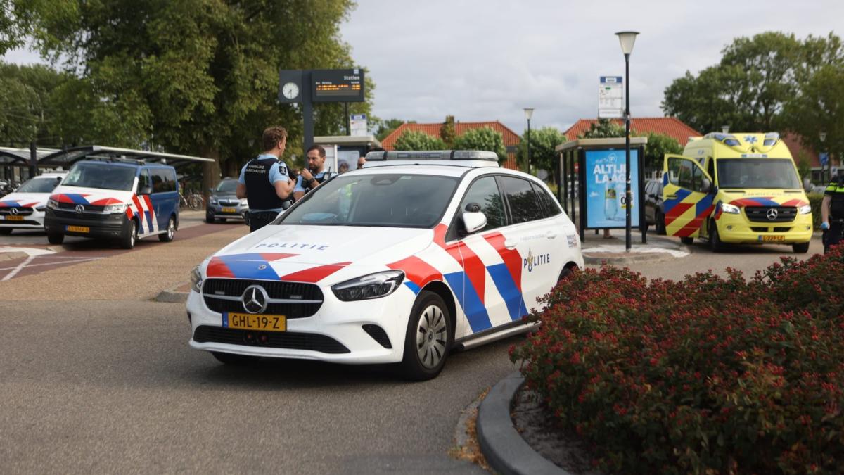 Mishandeling bij station in Schagen, één persoon aangehouden