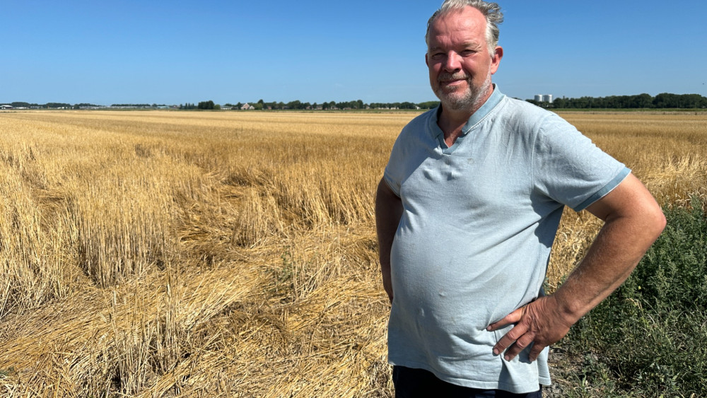 To spray with salt water or not to spray? Potato farmers struggle with drought