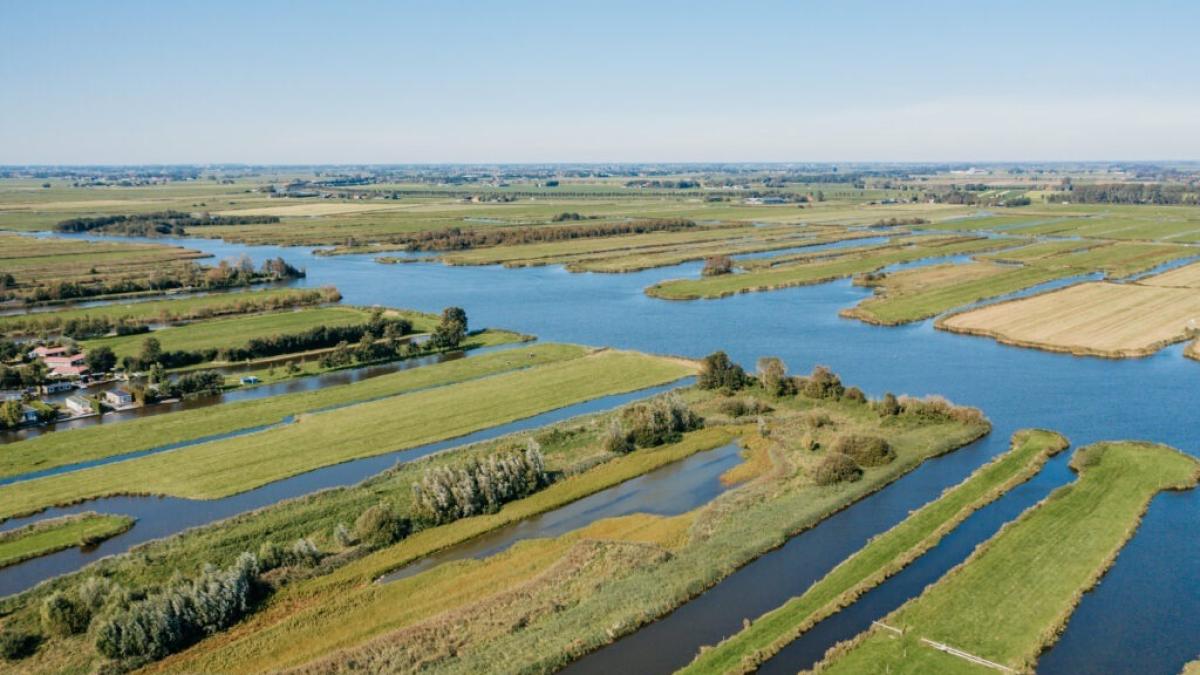 Geen botulisme bij watervogels Wormerland, wel vogelgriep