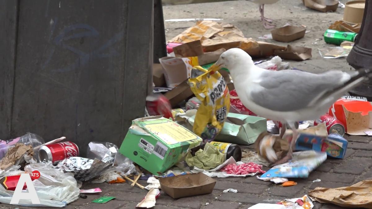Amsterdam kampt nog altijd met afvaloverlast: 