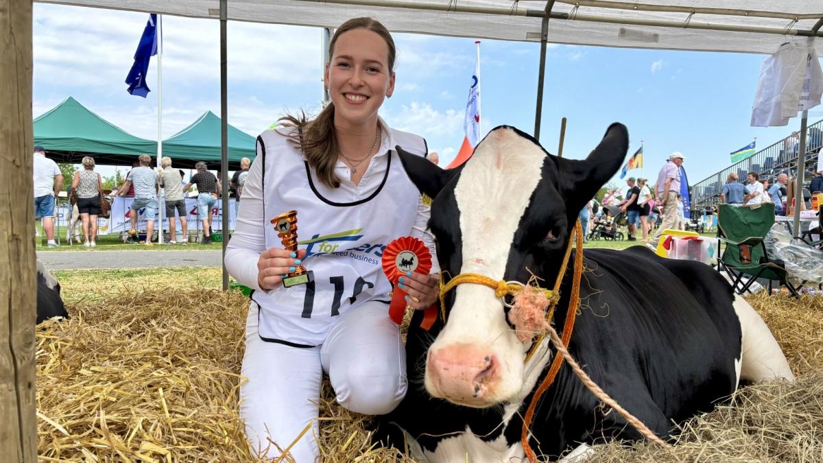 Zo blijven de koeien koel op de Landbouwshow in Opmeer