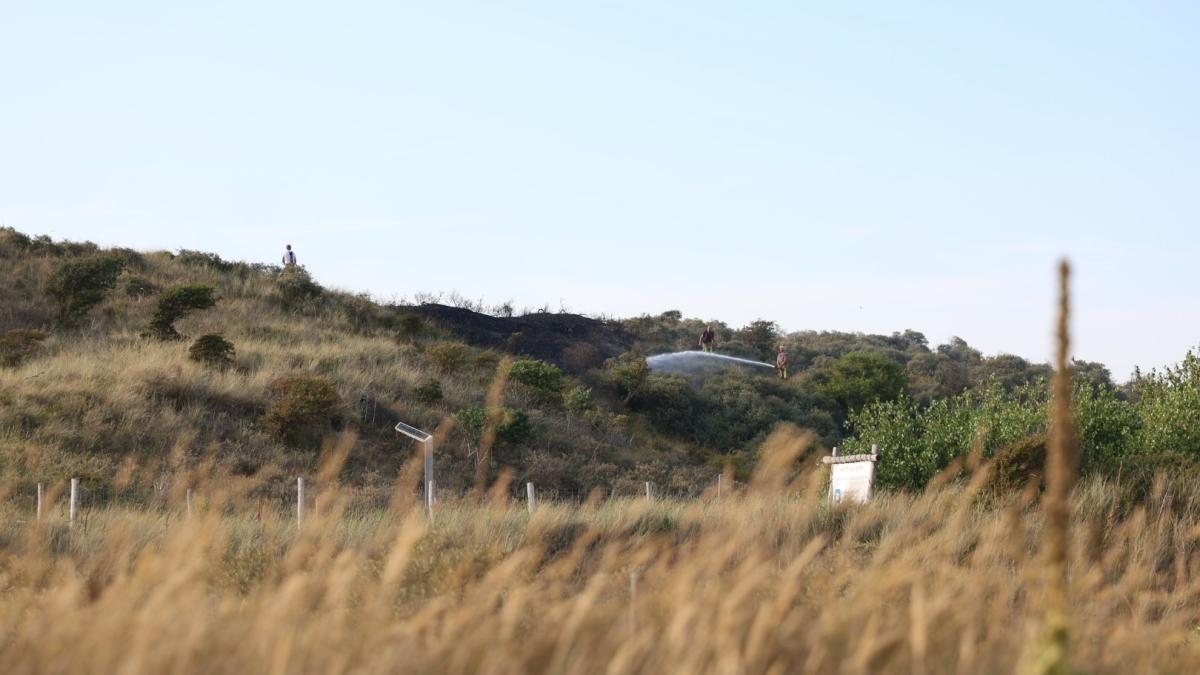 Grote natuurbrand bij Overveense duinen, deel camping ontruimd