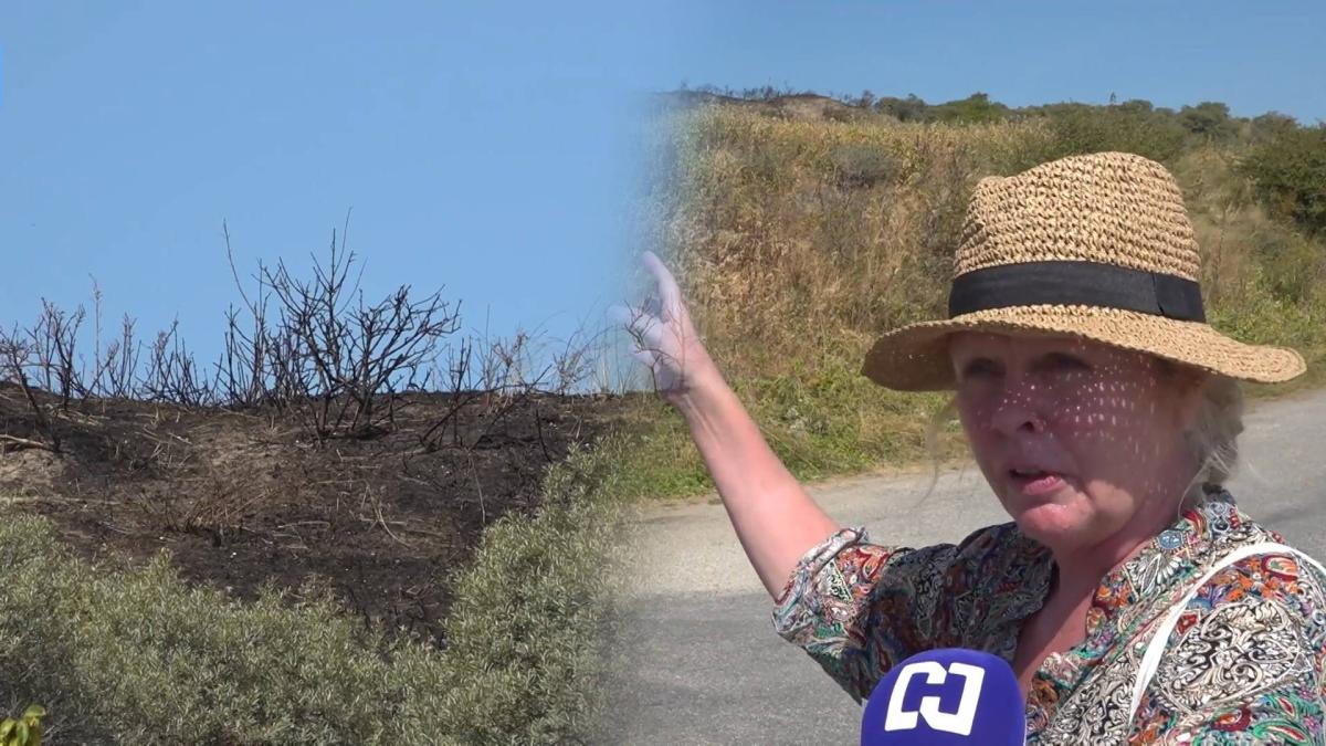 Vakantiegangers zien vlammen 'tot zes meter hoog' naast camping tijdens duinbrand