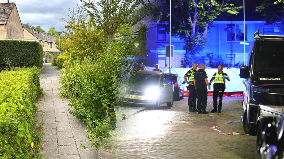 Buurt aangeslagen na heftige steekpartij: 