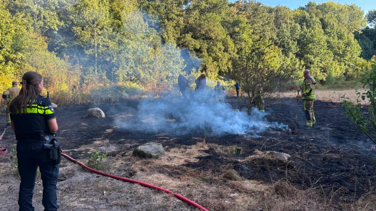 Stuk natuur afgebrand in Bennebroek