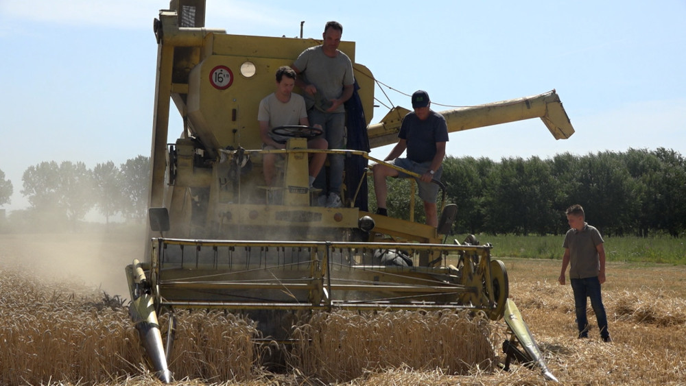 Vintage farm machinery fired up for Harvest Festival: "It was hard work back then"