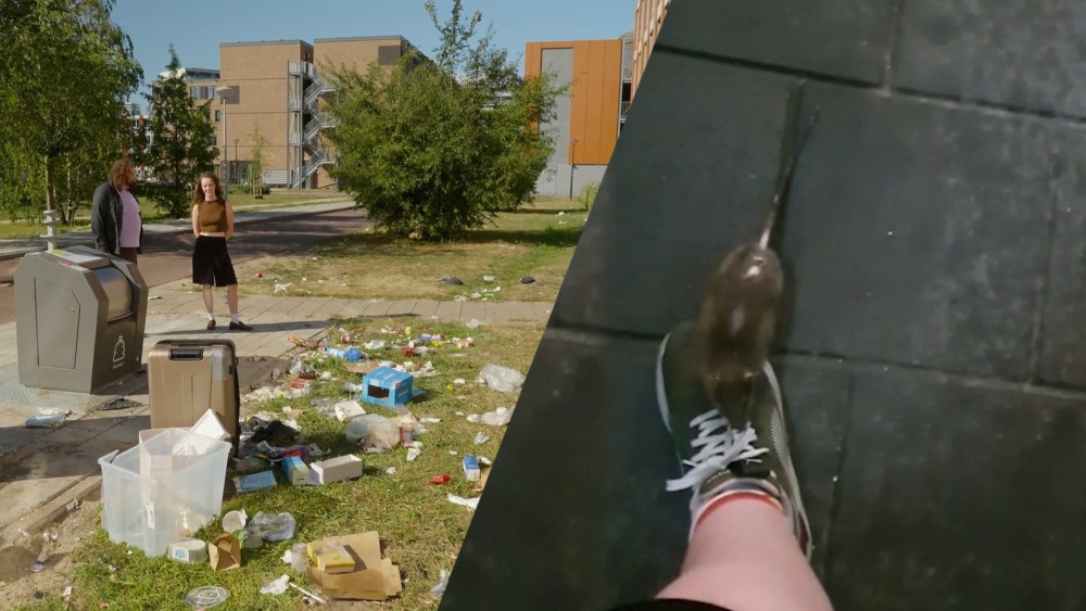 Spinozacampus residents sound alarm: rat infestations caused by illegal dumping