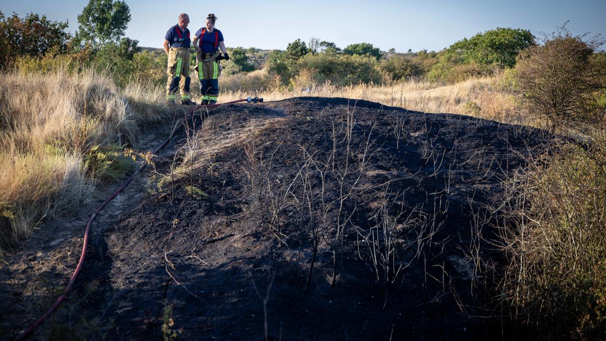 Korte, hevige duinbrand bij Zandvoort