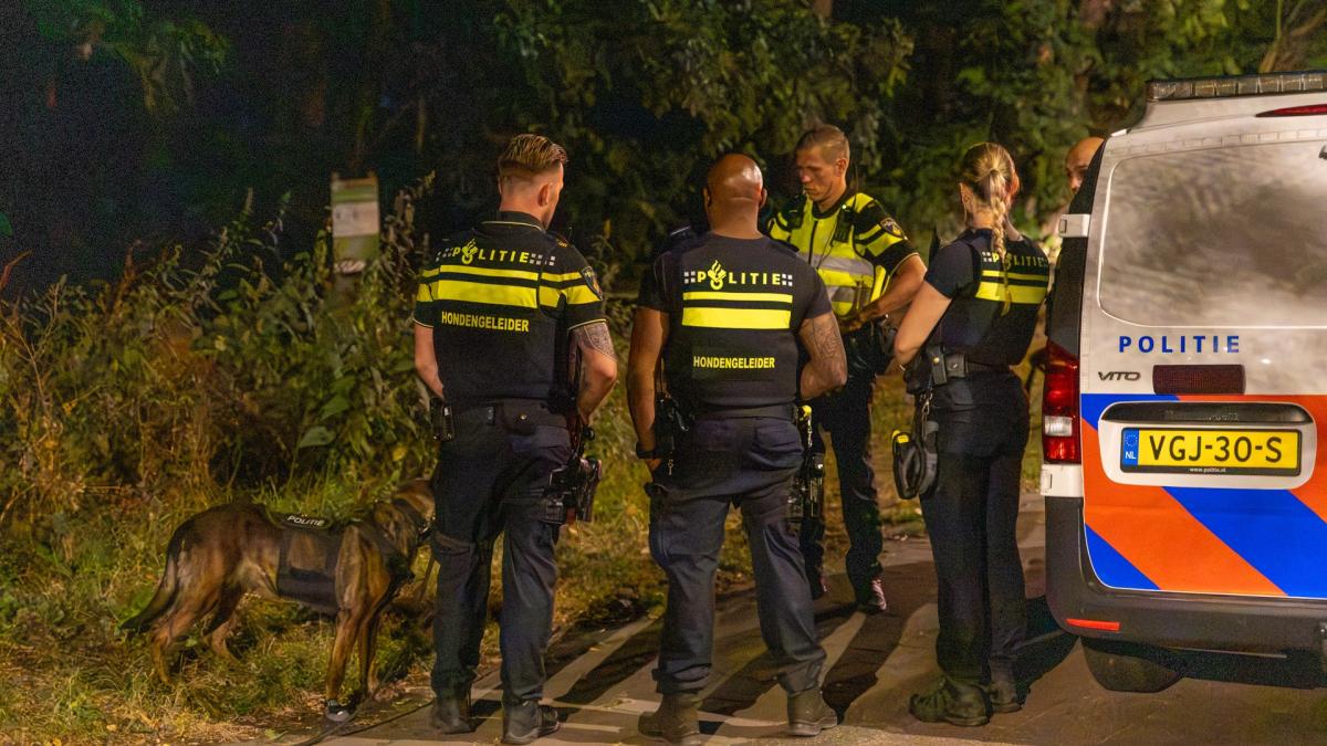 Politie doorzoekt natuurgebied Heemskerk nadat iemand mogelijk in bosjes werd getrokken