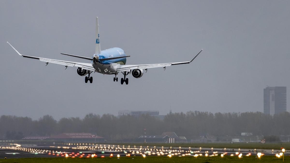 Vliegtuigen maken doorstart op Schiphol vanwege hond op landingsbaan