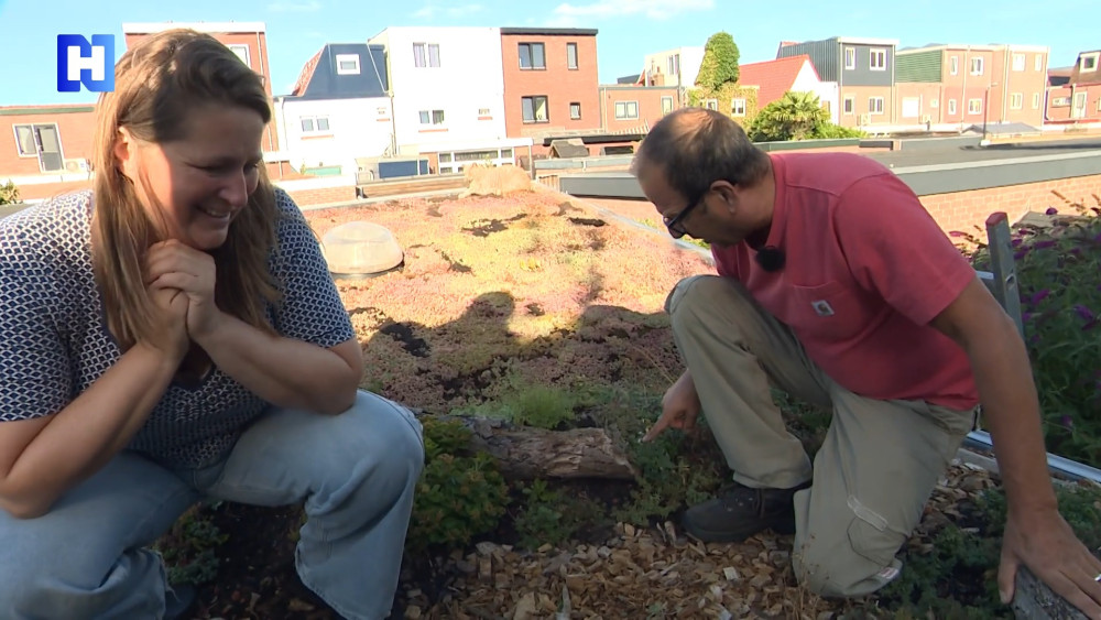 With a dune garden, you have a piece of National Park in your own backyard