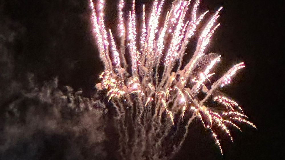 Roman candle or Chinese firecrackers at home? Where you can safely dispose of illegal fireworks without penalty
