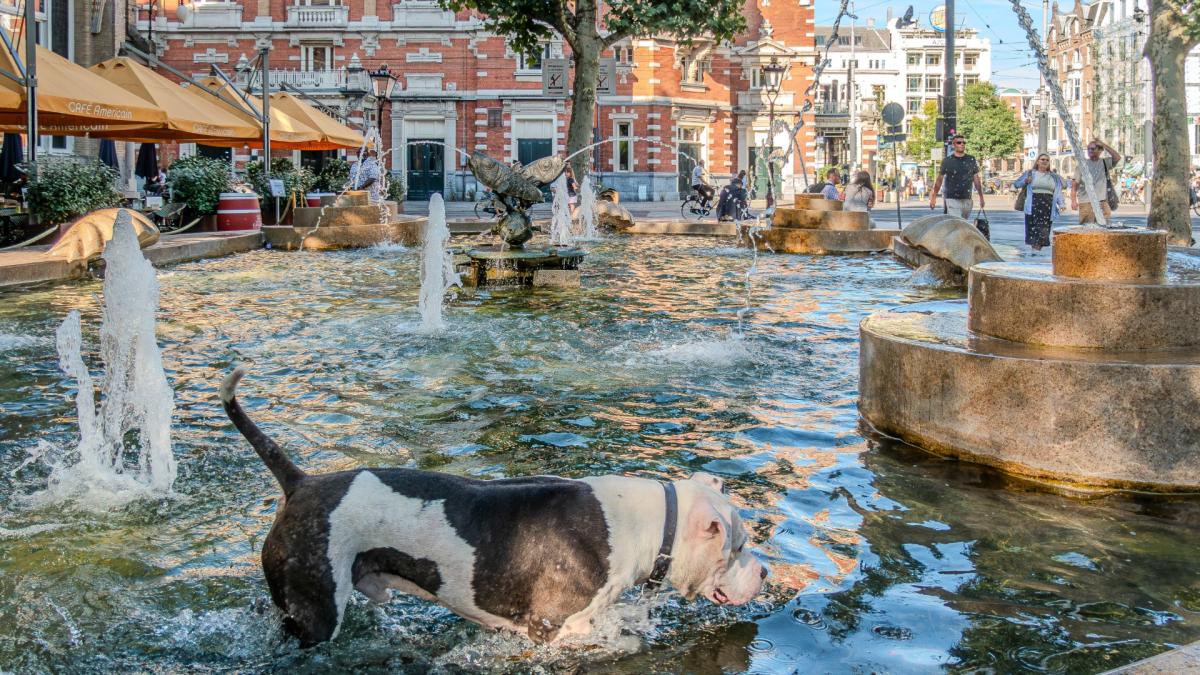 Amsterdam zet 19 fonteinen uit na vondst poepbacterie
