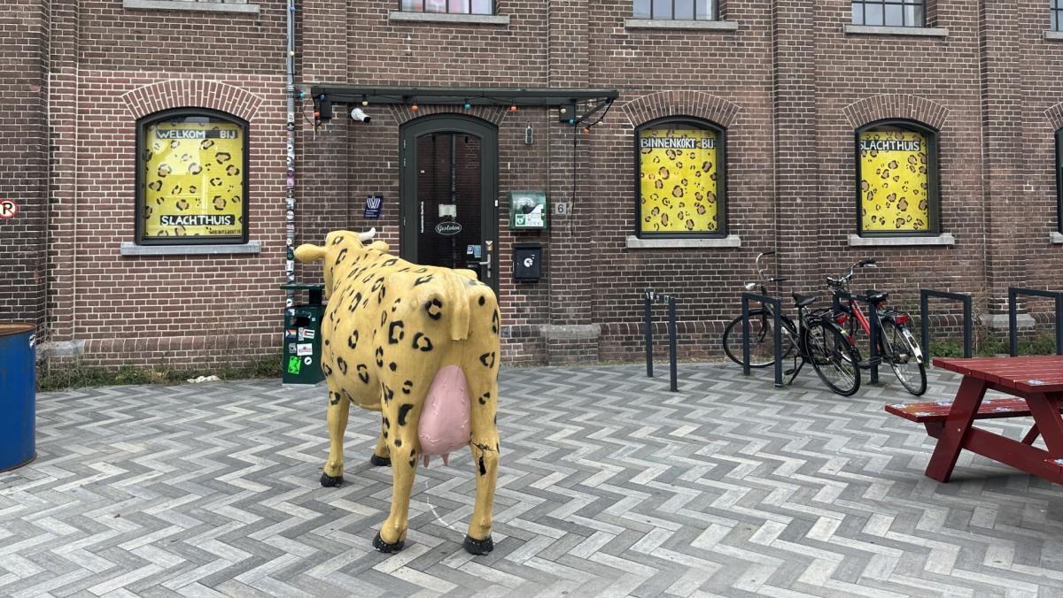 Faillissement Slachthuis Haarlem onafwendbaar, maar politiek wil frisse start