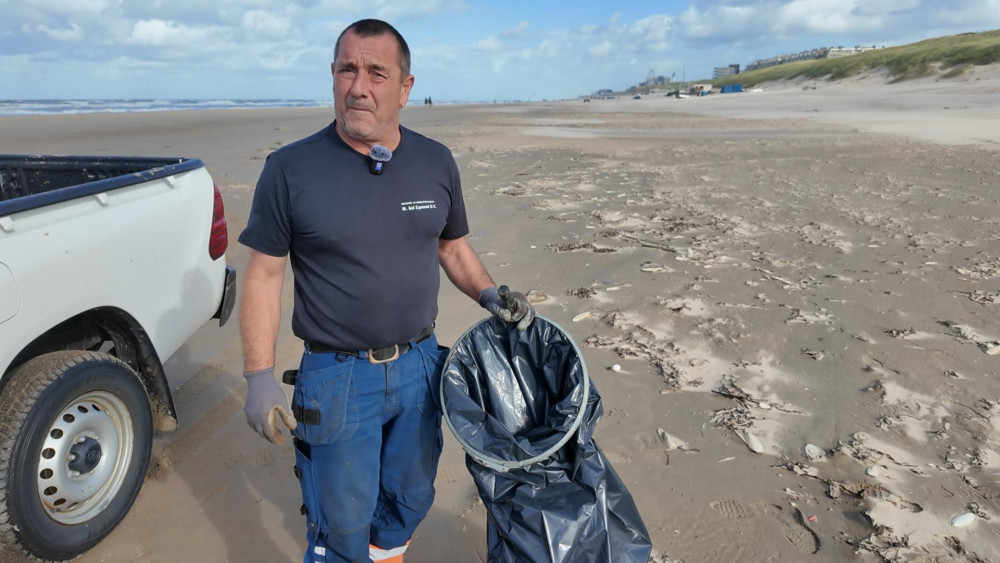 Nog altijd veel plastic op het strand: "Heliumballonnen zijn funest voor het milieu" Home