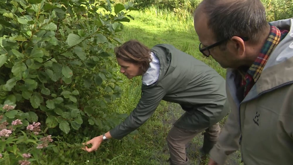 Forest ranger Jocelyn enjoys her work: "So many different plants in one square meter"
