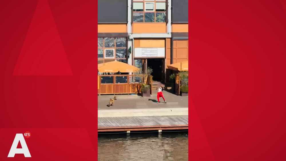 Video: NDSM wharf shooter throws gun into water, leashes dog and waits for police