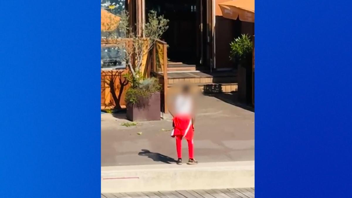 Video: schutter NDSM-kade gooit pistool in water, lijnt hond aan en wacht op politie