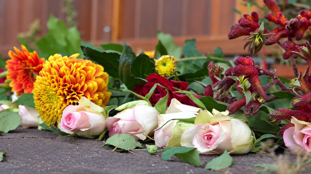 37-year-old suspect in fatal Amsterdam-Noord shooting held for two more weeks