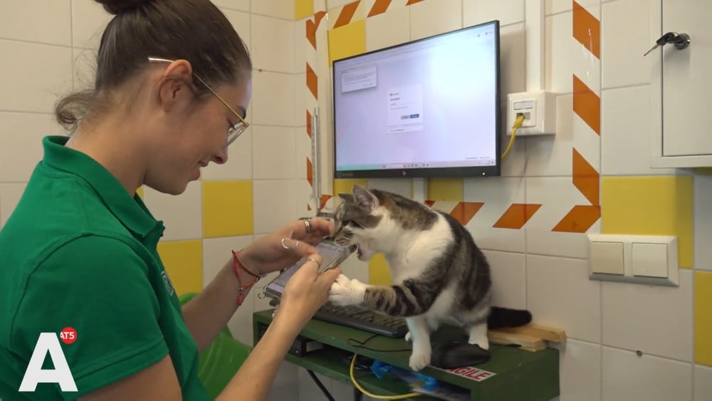 Animal shelter DOA celebrates 125th anniversary: We are here to stay