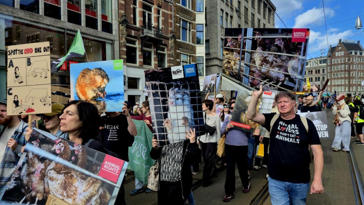 Protest tegen dierenindustrie in binnenstad: 