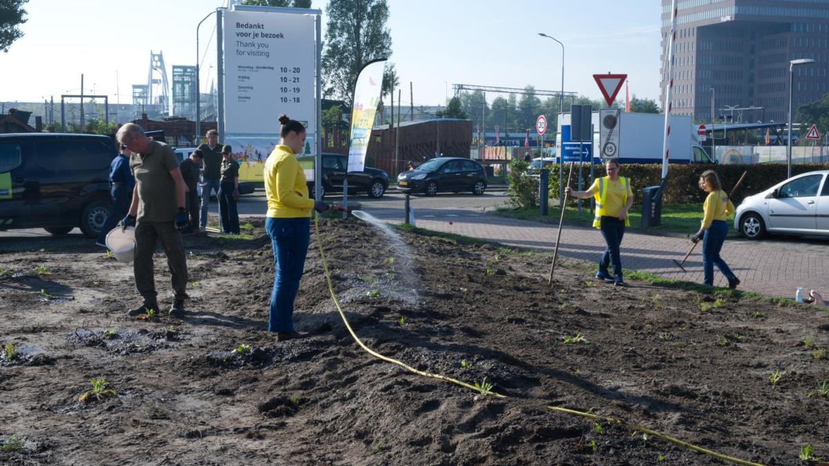 Vrijwilligers fleuren parkeerplaats op: 'Brengen de duinen mee Haarlem in'