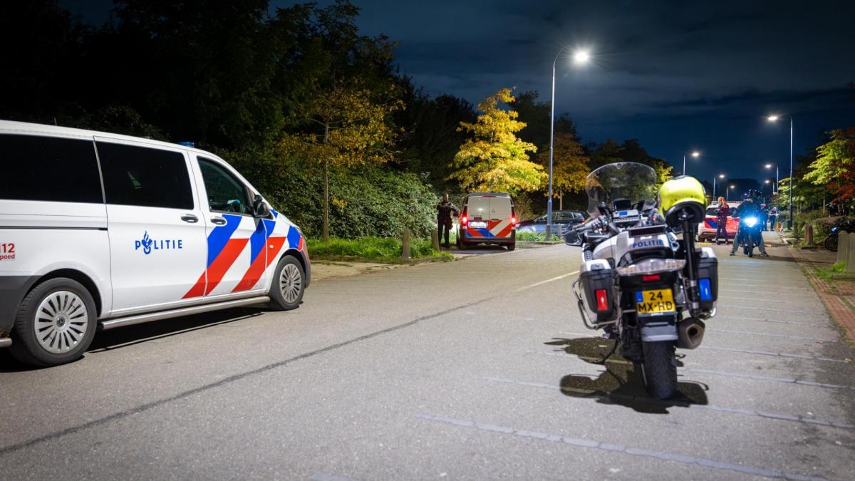 Politie doorzoekt Haarlems park na melding vuurwapen, meerdere mensen gefouilleerd