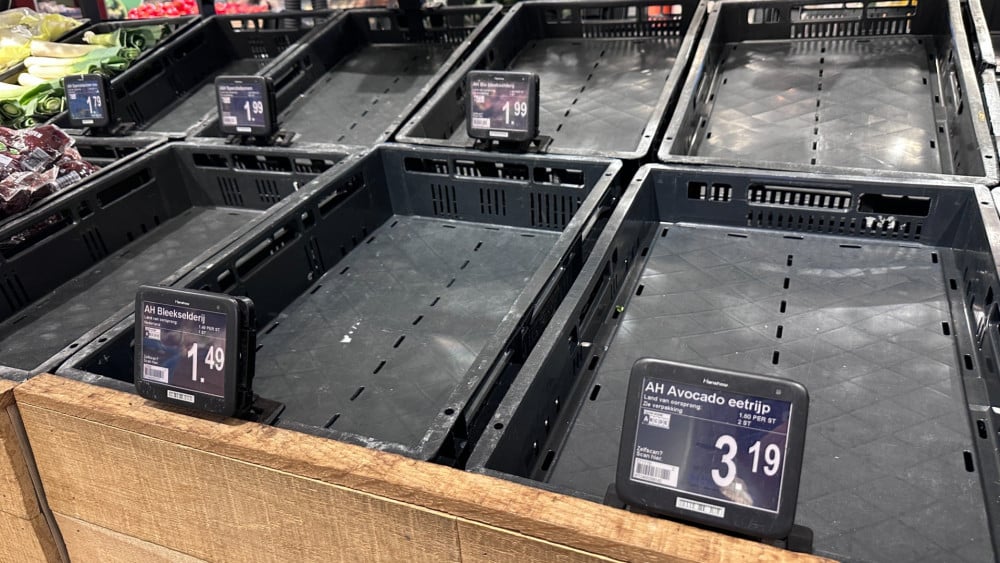 Albert Heijn bezorgt vanaf vrijdag weer boodschappen na computerproblemen