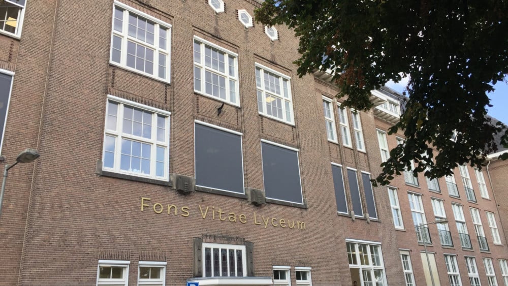 Mother demands Fons Vitae promotes her son, but judge rules against her