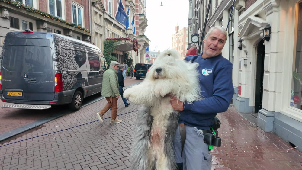 Window cleaner Nolly attracts lots of attention with his dog Zarrie: "The highlight of Amsterdam"