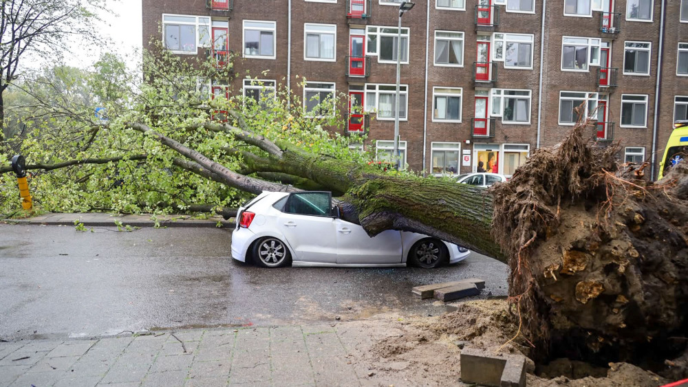 Tree falls on moving car in Amsterdam city center, driver unhurt