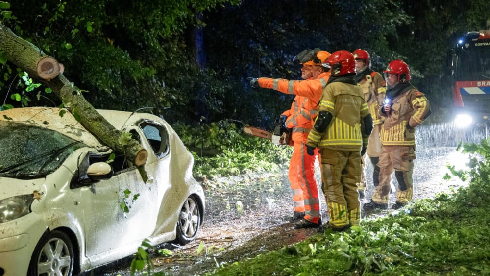 Tree falls on moving car, driver rushed to hospital