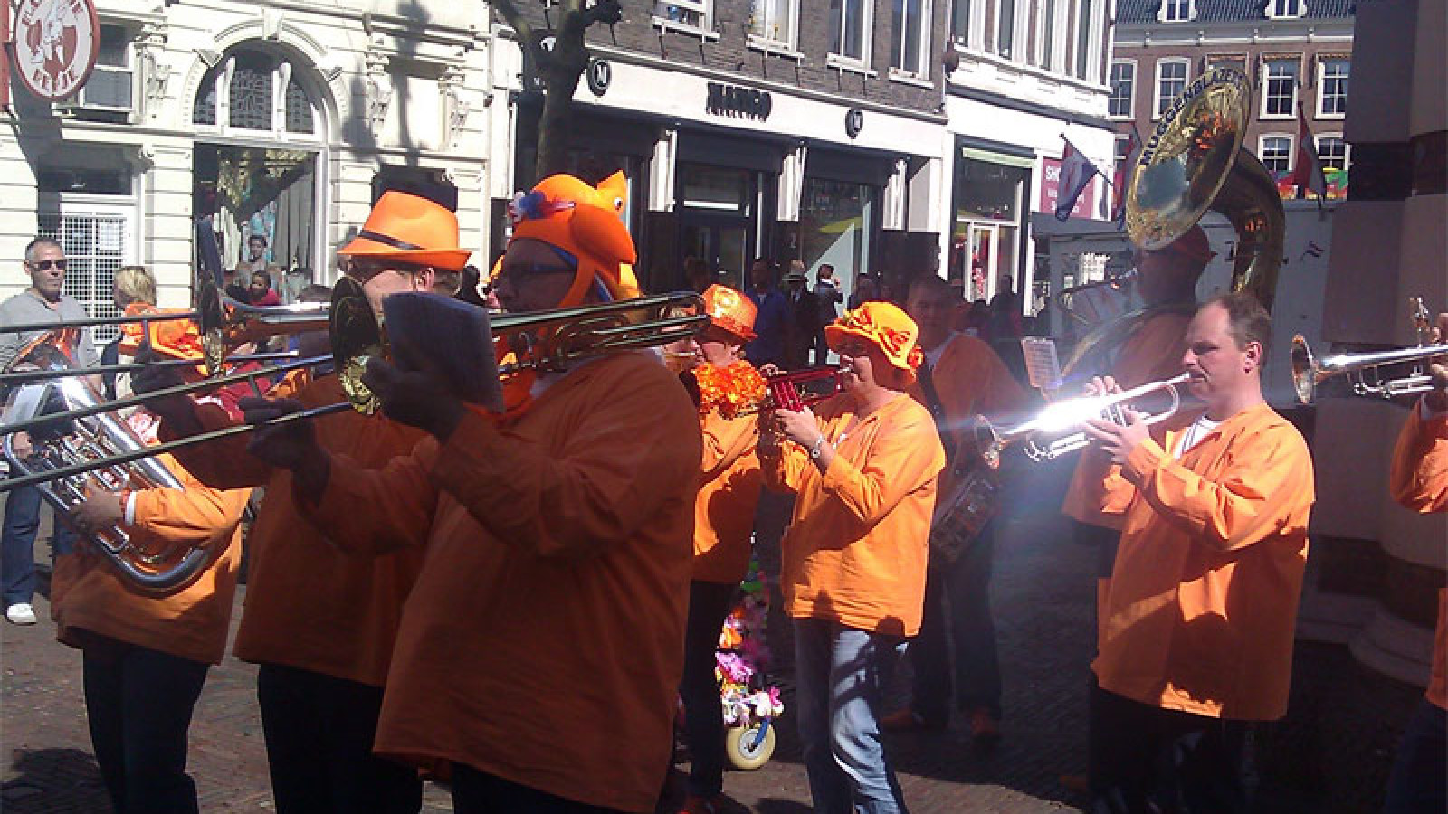 Muggenblazers Haarlem