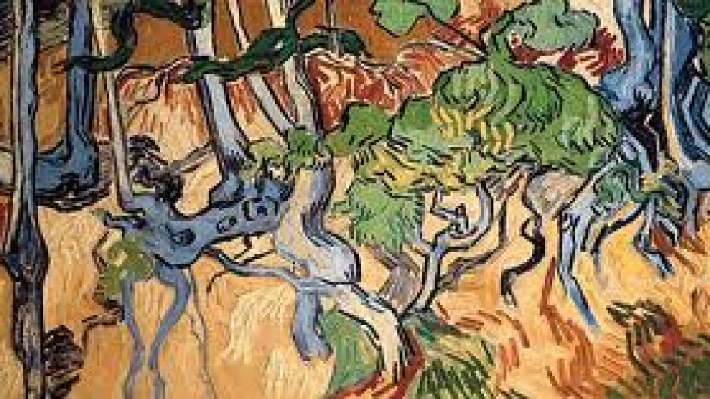 Boomwortels is Van Goghs laatste schilderij' - NH Nieuws