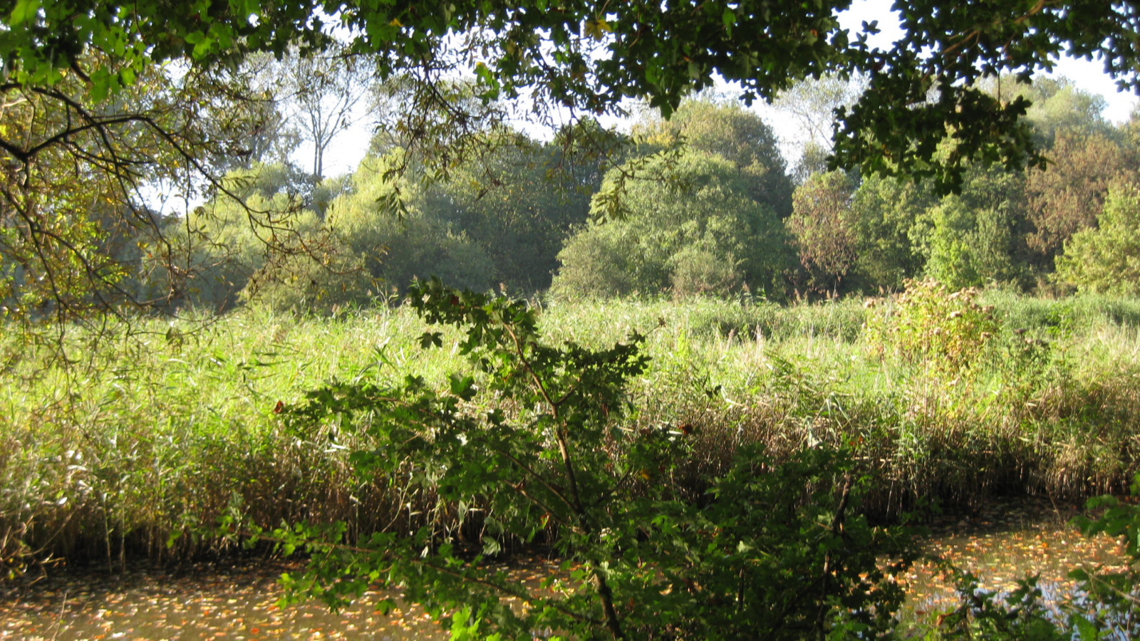 Jodse begraafplaats Zeeburg